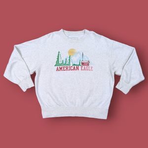 American Eagle Outfitters Gray Crew Neck Sweater